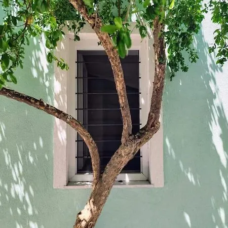 Filip And Myrsinis House - Σπίτι διακοπών *